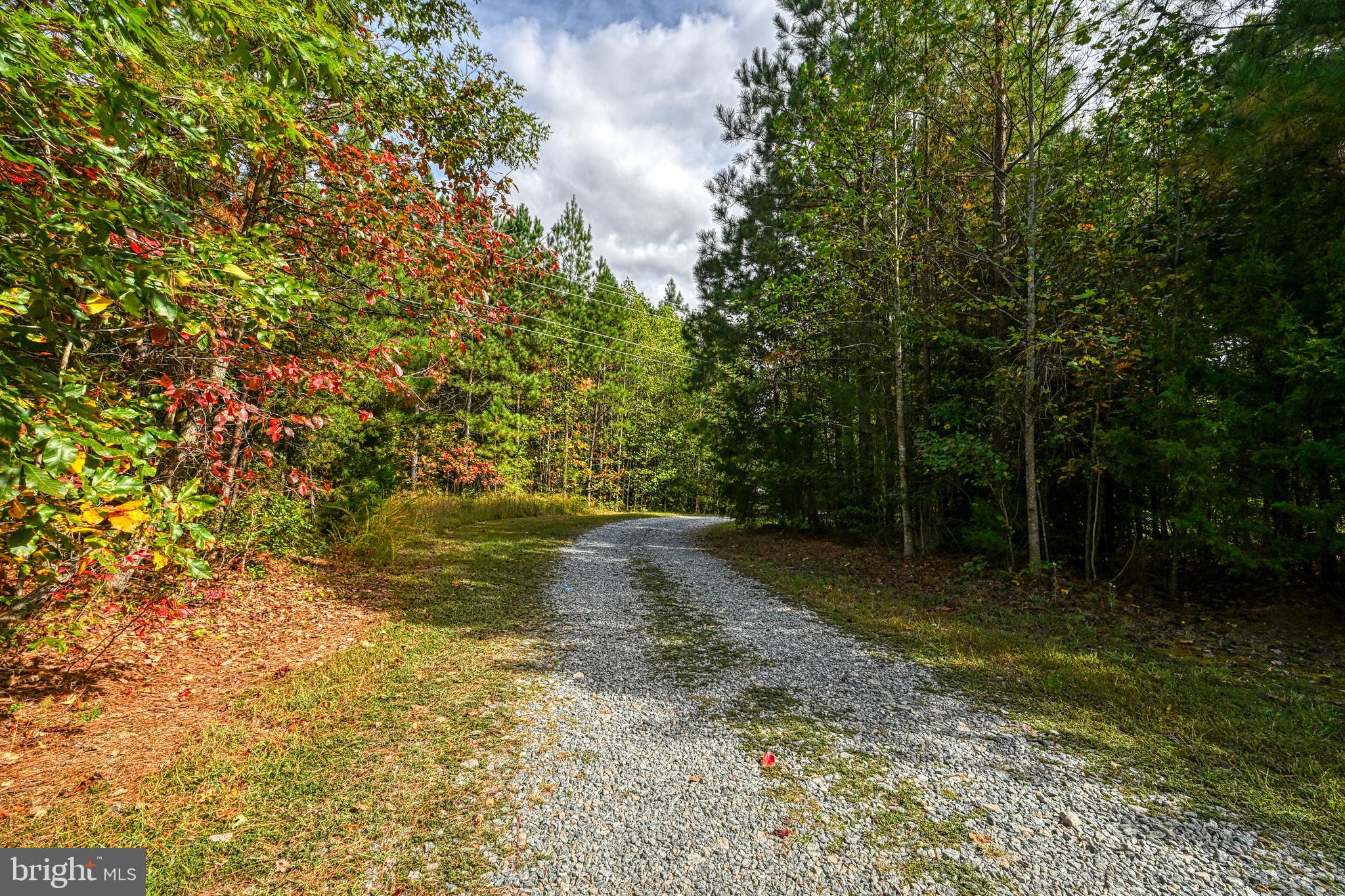 Cross Country Road Mineral, VA 23117 - Photo 16 of 58 a view of a yard with trees