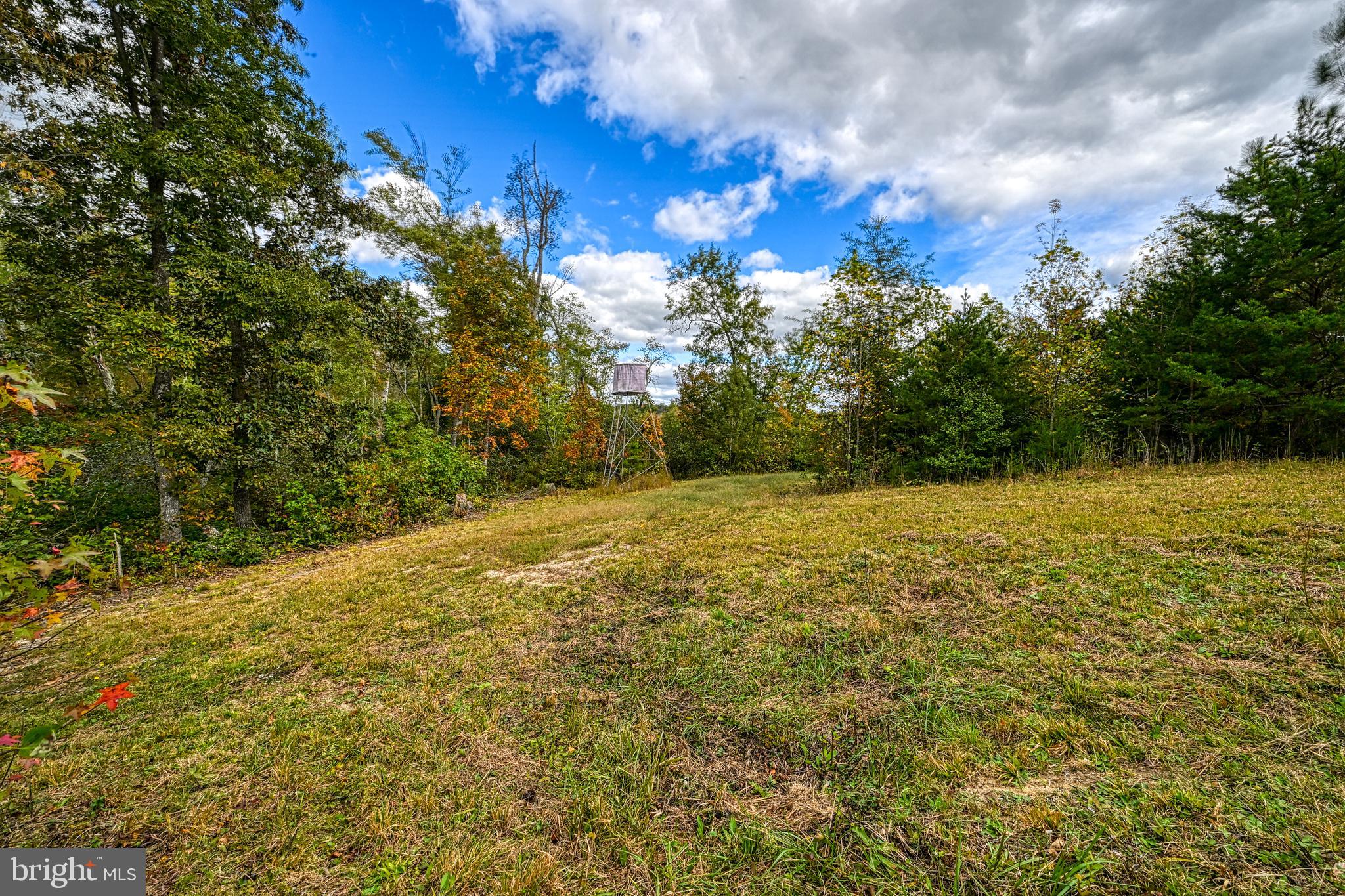 Cross Country Road Mineral, VA 23117 - Photo 23 of 58 a view of a yard with a tree