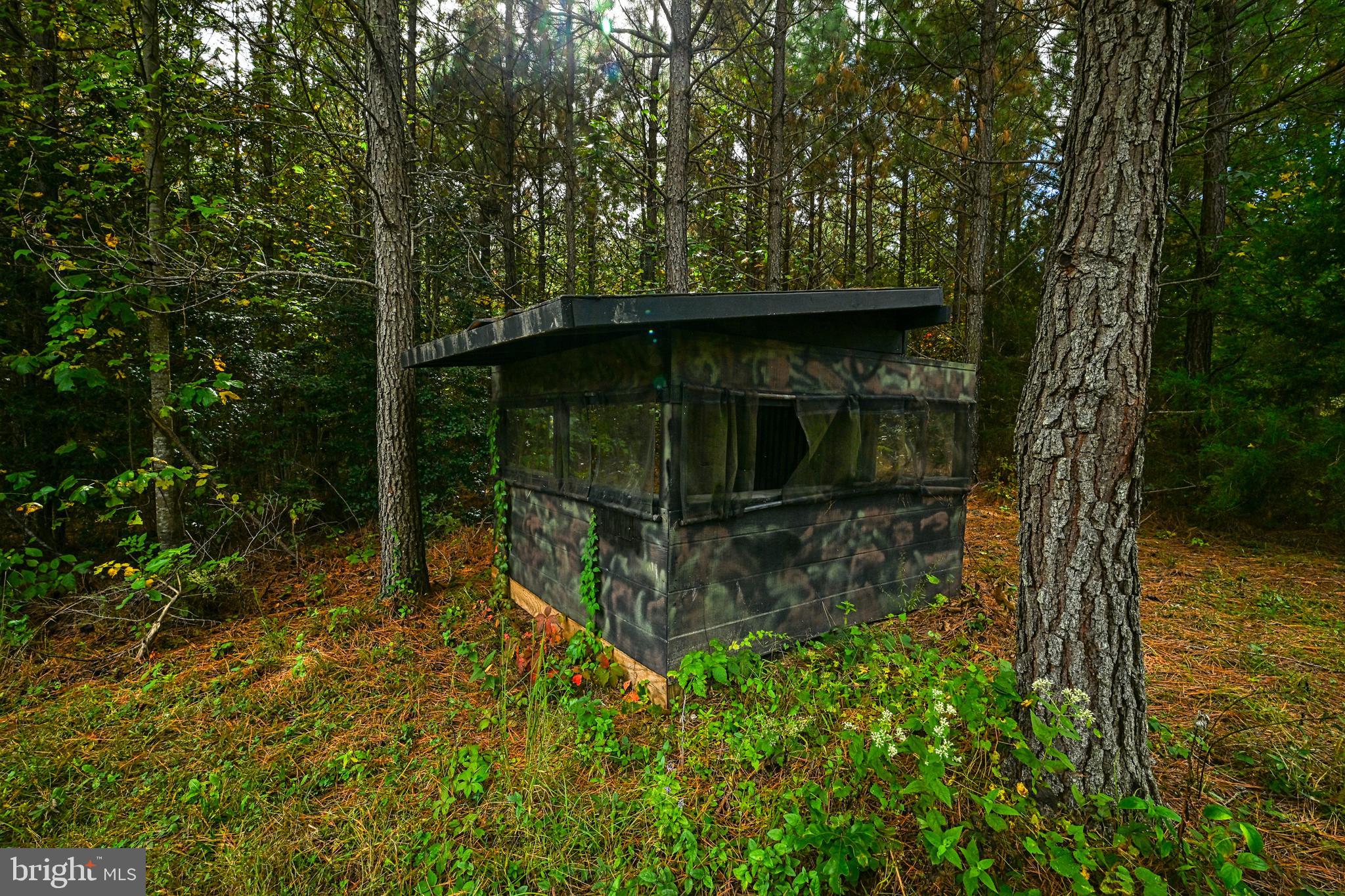 Cross Country Road Mineral, VA 23117 - Photo 24 of 58 a view of outdoor space and yard