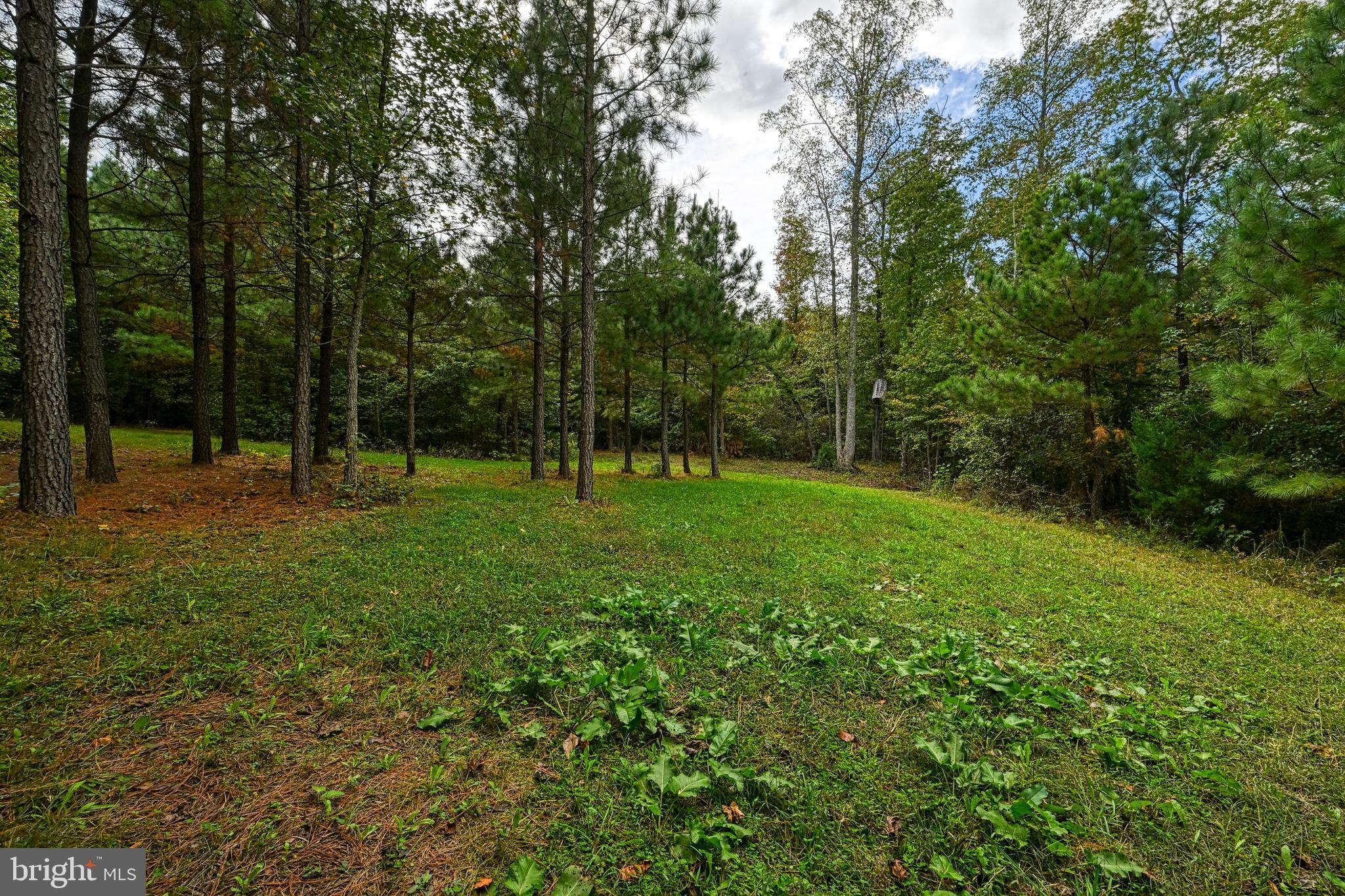 Cross Country Road Mineral, VA 23117 - Photo 25 of 58 a view of outdoor space with green field and trees