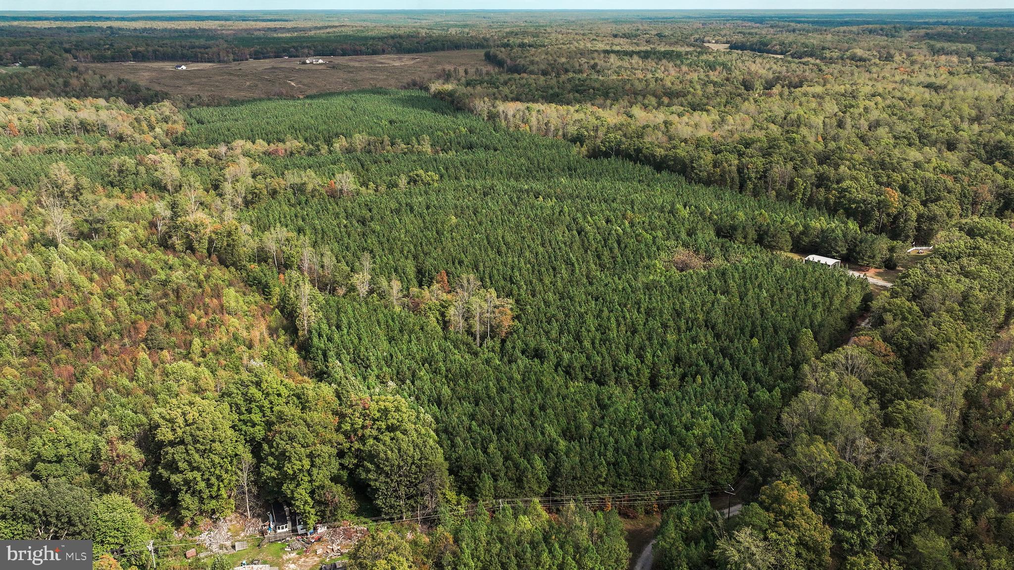 Cross Country Road Mineral, VA 23117 - Photo 28 of 58 an aerial view of residential houses with outdoor space and trees
