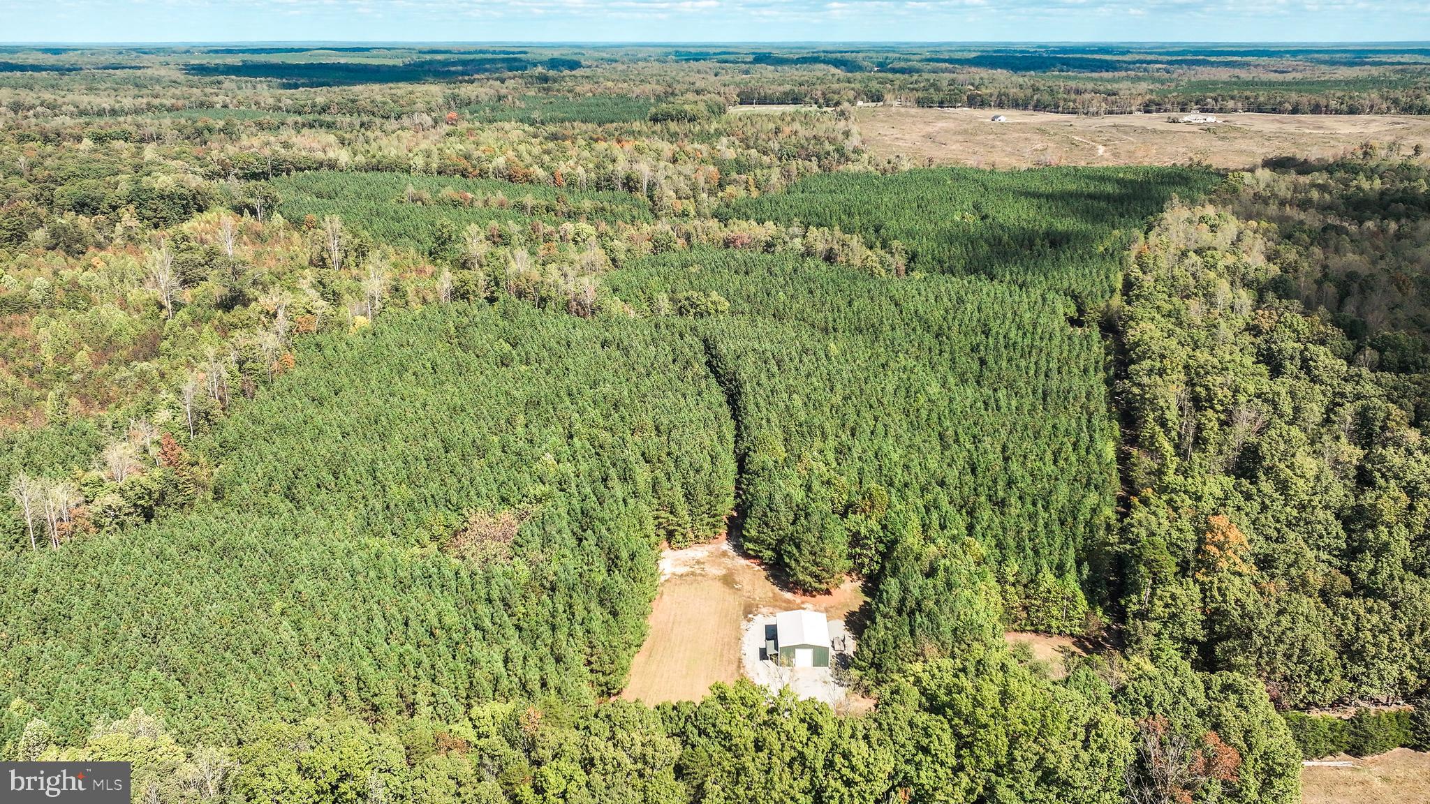 Cross Country Road Mineral, VA 23117 - Photo 3 of 58