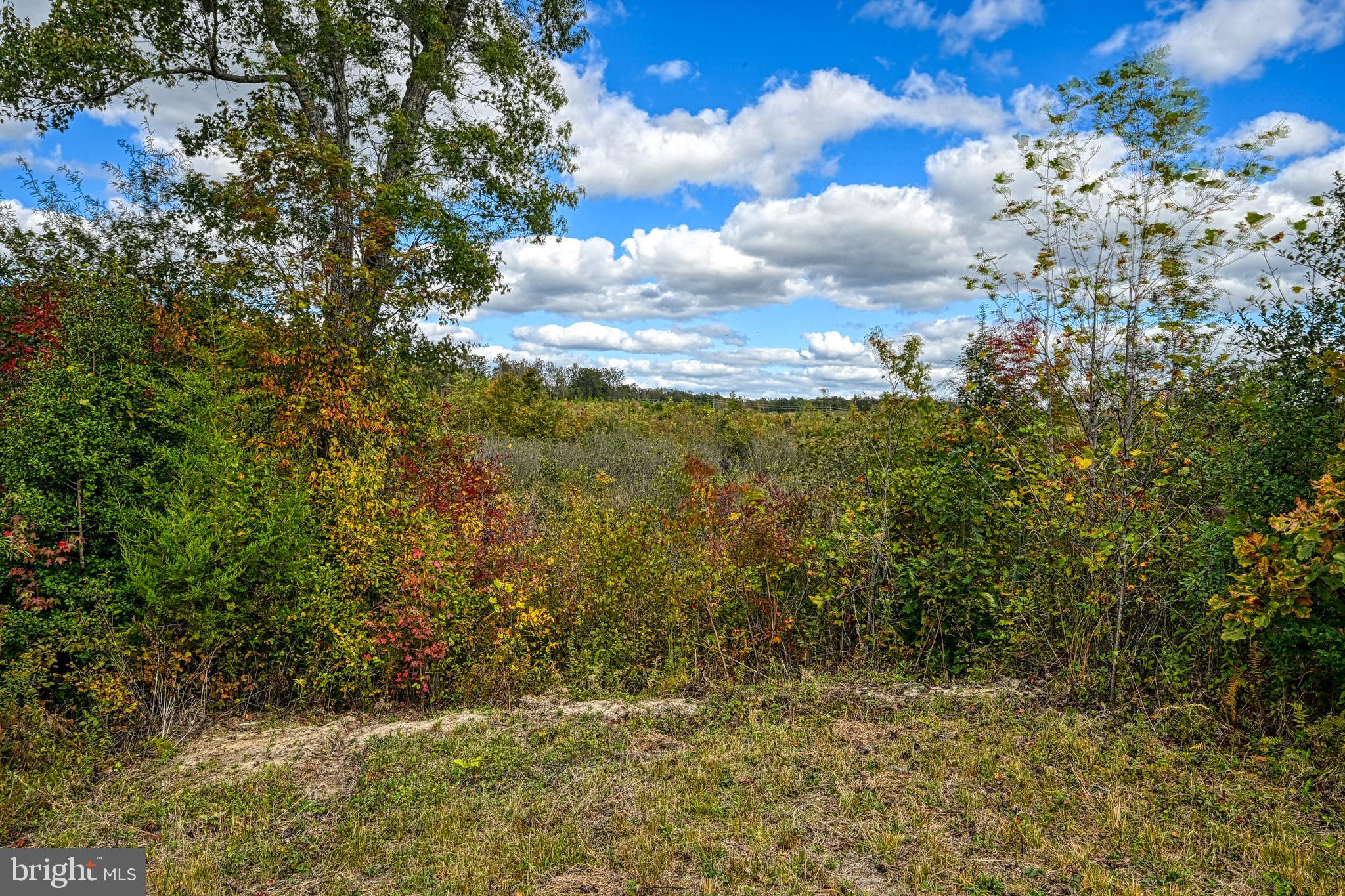 Cross Country Road Mineral, VA 23117 - Photo 31 of 58 a view of a yard