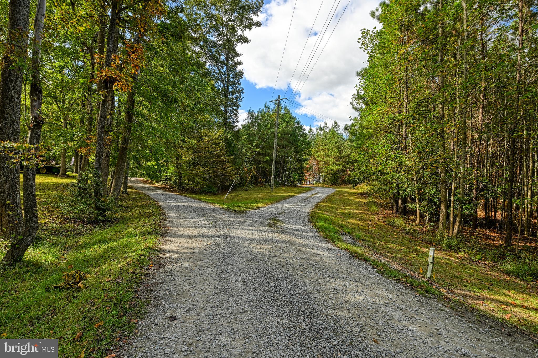 Cross Country Road Mineral, VA 23117 - Photo 34 of 58 a view of a park with large trees