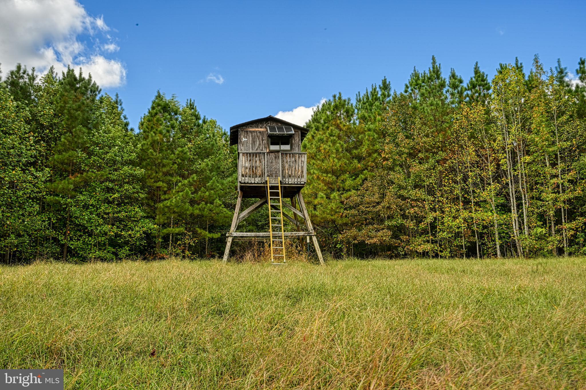 Cross Country Road Mineral, VA 23117 - Photo 39 of 58