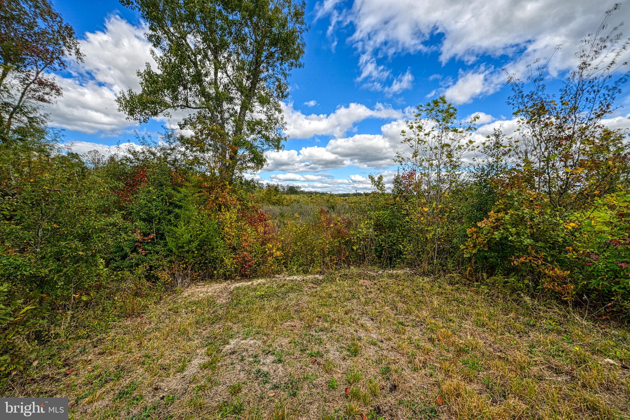 Cross Country Road Mineral, VA 23117 - Photo 40 of 58 a view of an outdoor space and a yard