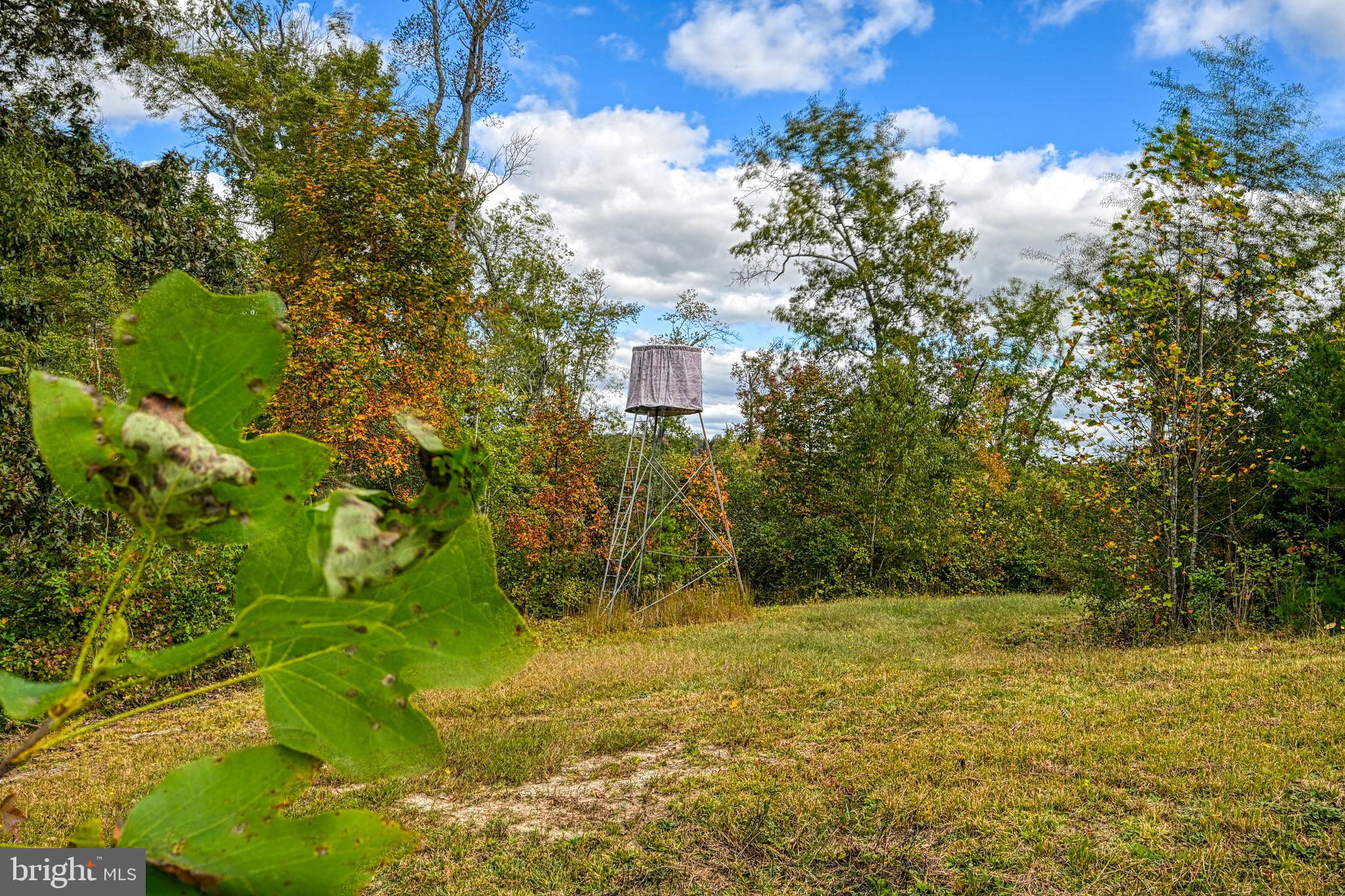 Cross Country Road Mineral, VA 23117 - Photo 43 of 58 a view of outdoor space and yard