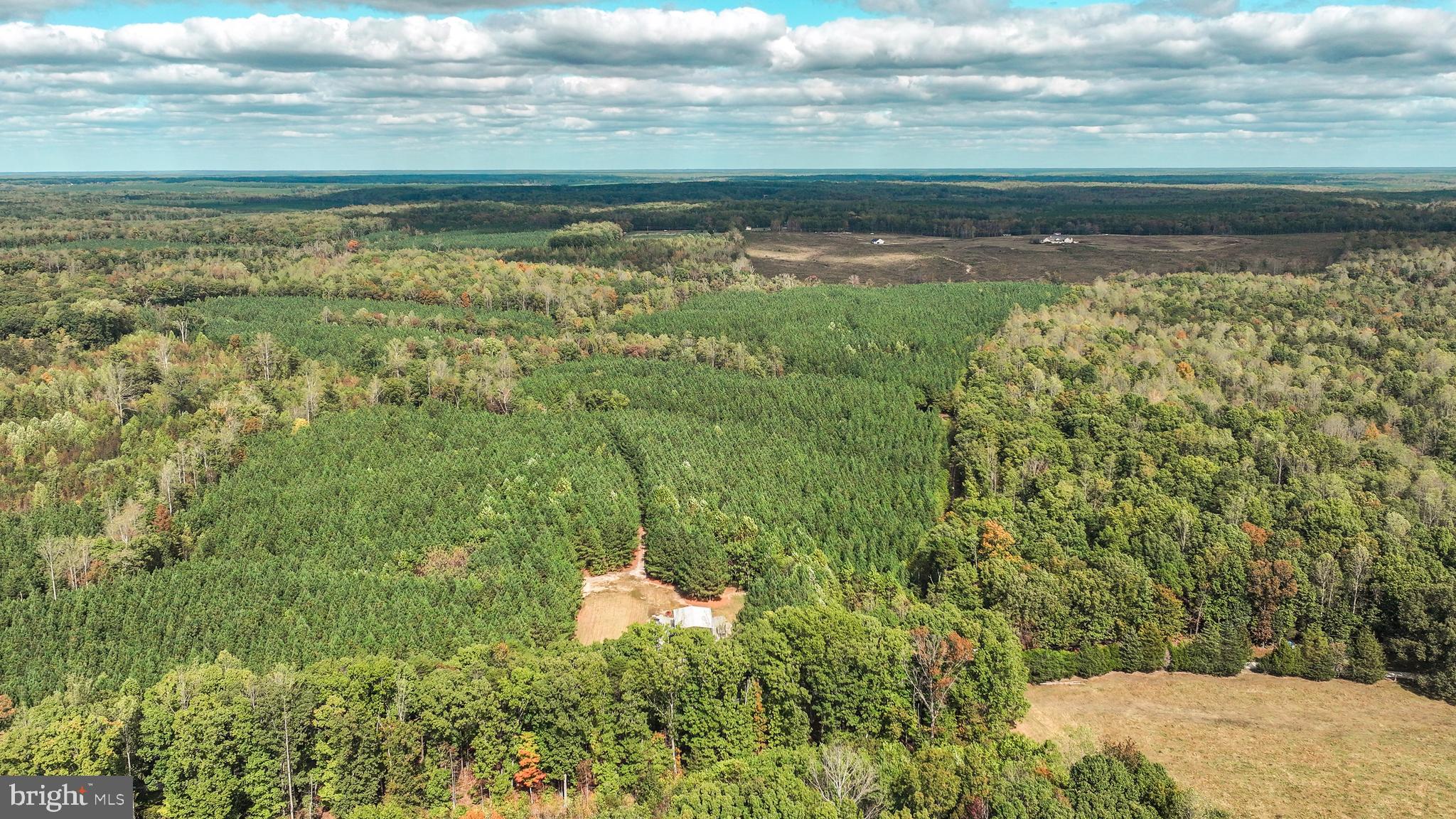 Cross Country Road Mineral, VA 23117 - Photo 45 of 58