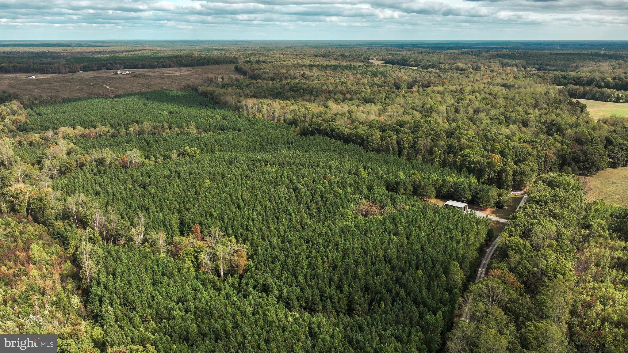 Cross Country Road Mineral, VA 23117 - Photo 46 of 58