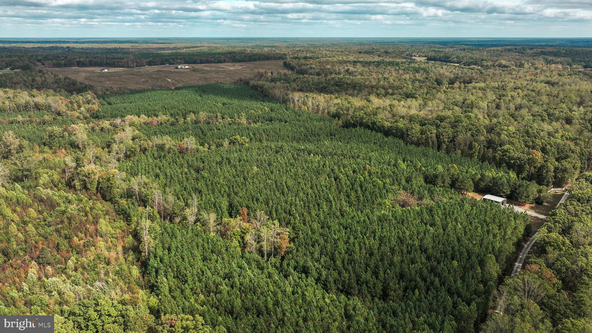 Cross Country Road Mineral, VA 23117 - Photo 47 of 58 a view of a water pond with green field