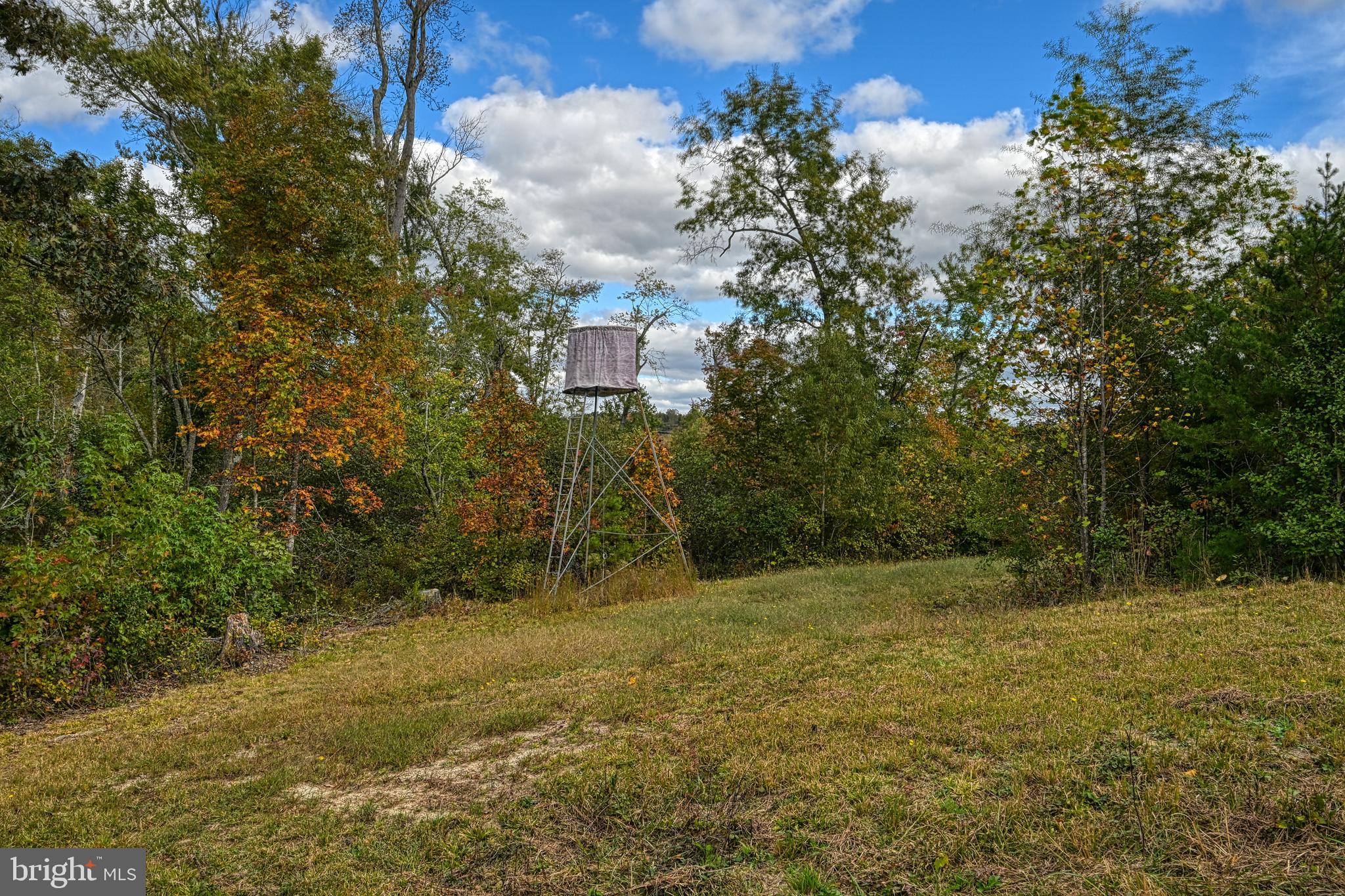 Cross Country Road Mineral, VA 23117 - Photo 48 of 58 a view of a field with a tree