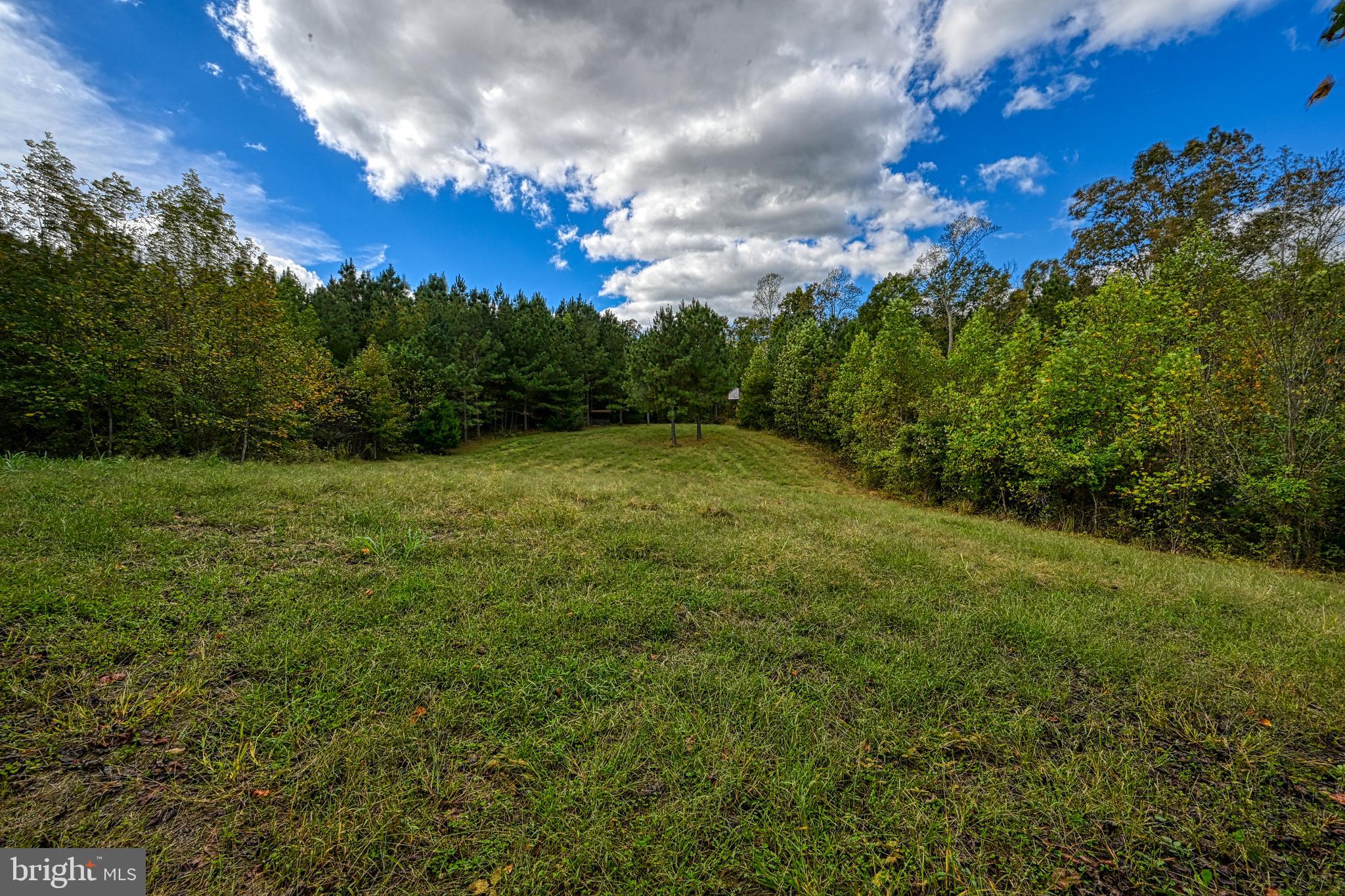 Cross Country Road Mineral, VA 23117 - Photo 49 of 58 a view of a big yard with lots of green space