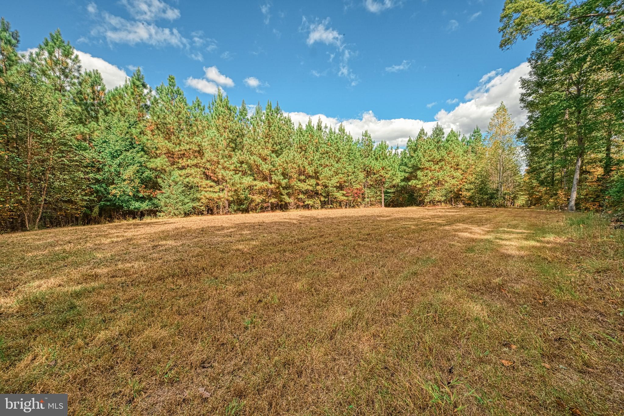 Cross Country Road Mineral, VA 23117 - Photo 50 of 58 a view of an outdoor space and a yard