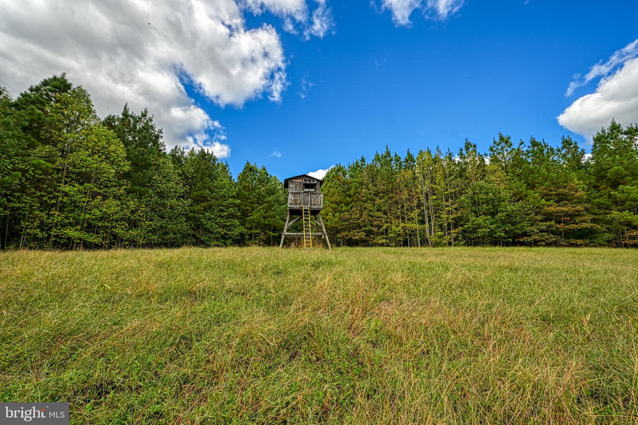 Cross Country Road Mineral, VA 23117 - Photo 51 of 58 a view of a big yard