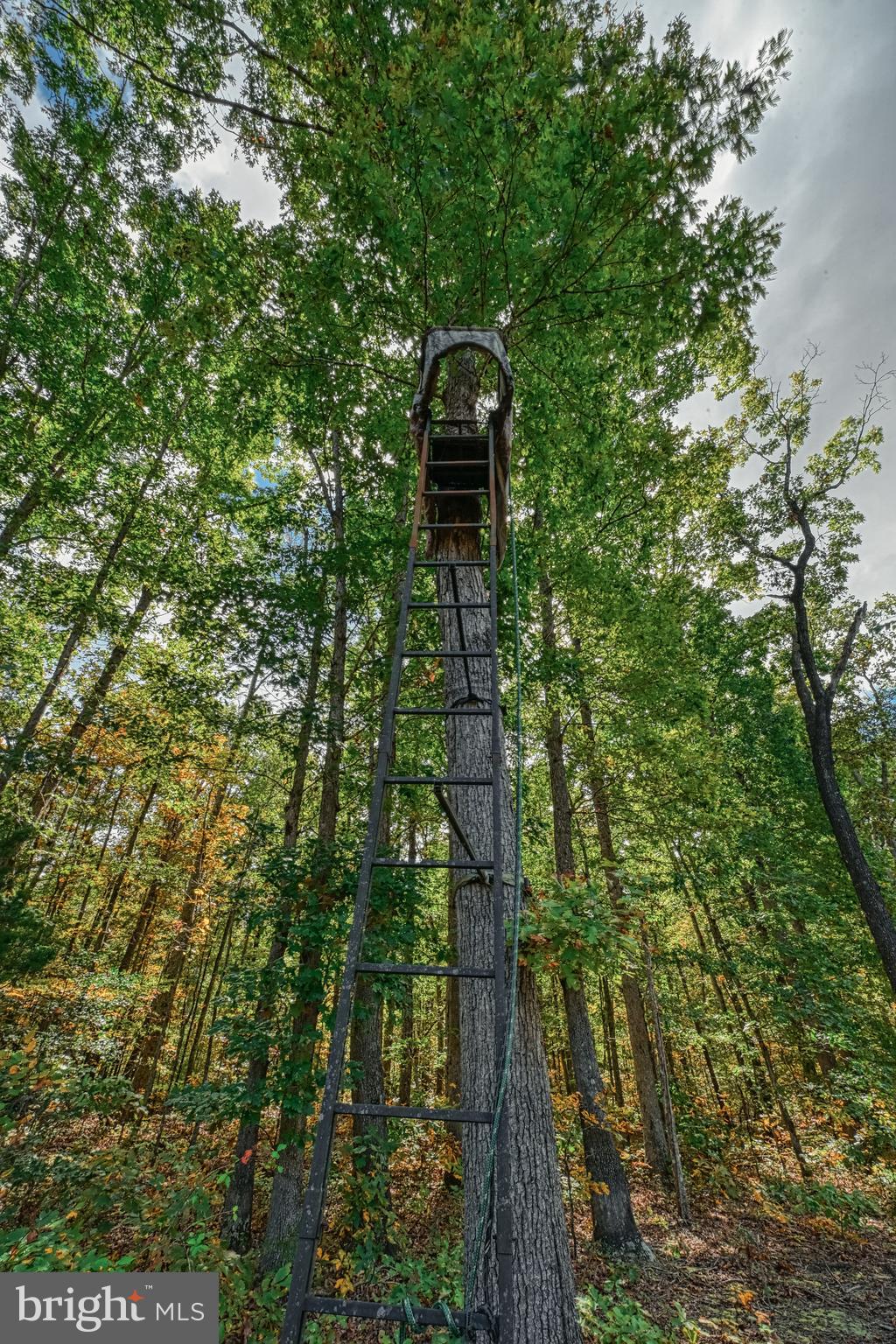 Cross Country Road Mineral, VA 23117 - Photo 56 of 58