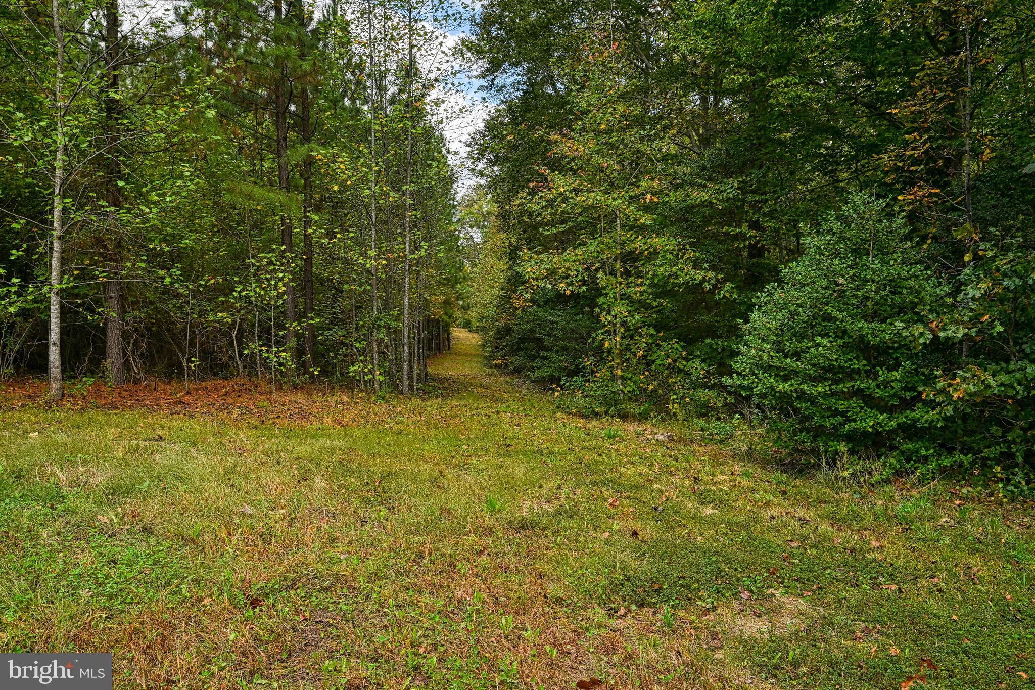 Cross Country Road Mineral, VA 23117 - Photo 7 of 58 a view of outdoor space and yard