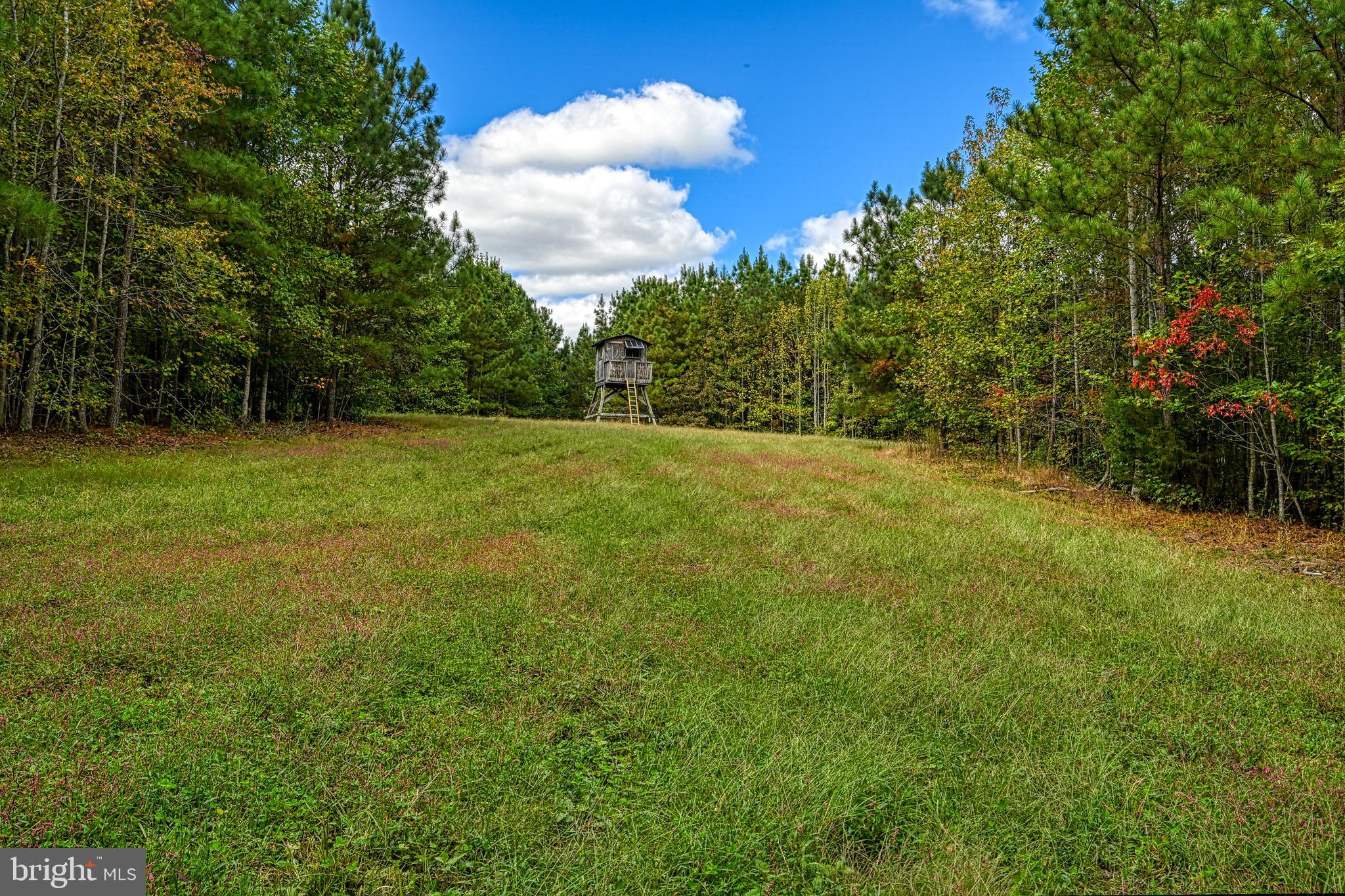 Cross Country Road Mineral, VA 23117 - Photo 8 of 58 a view of field with tall trees
