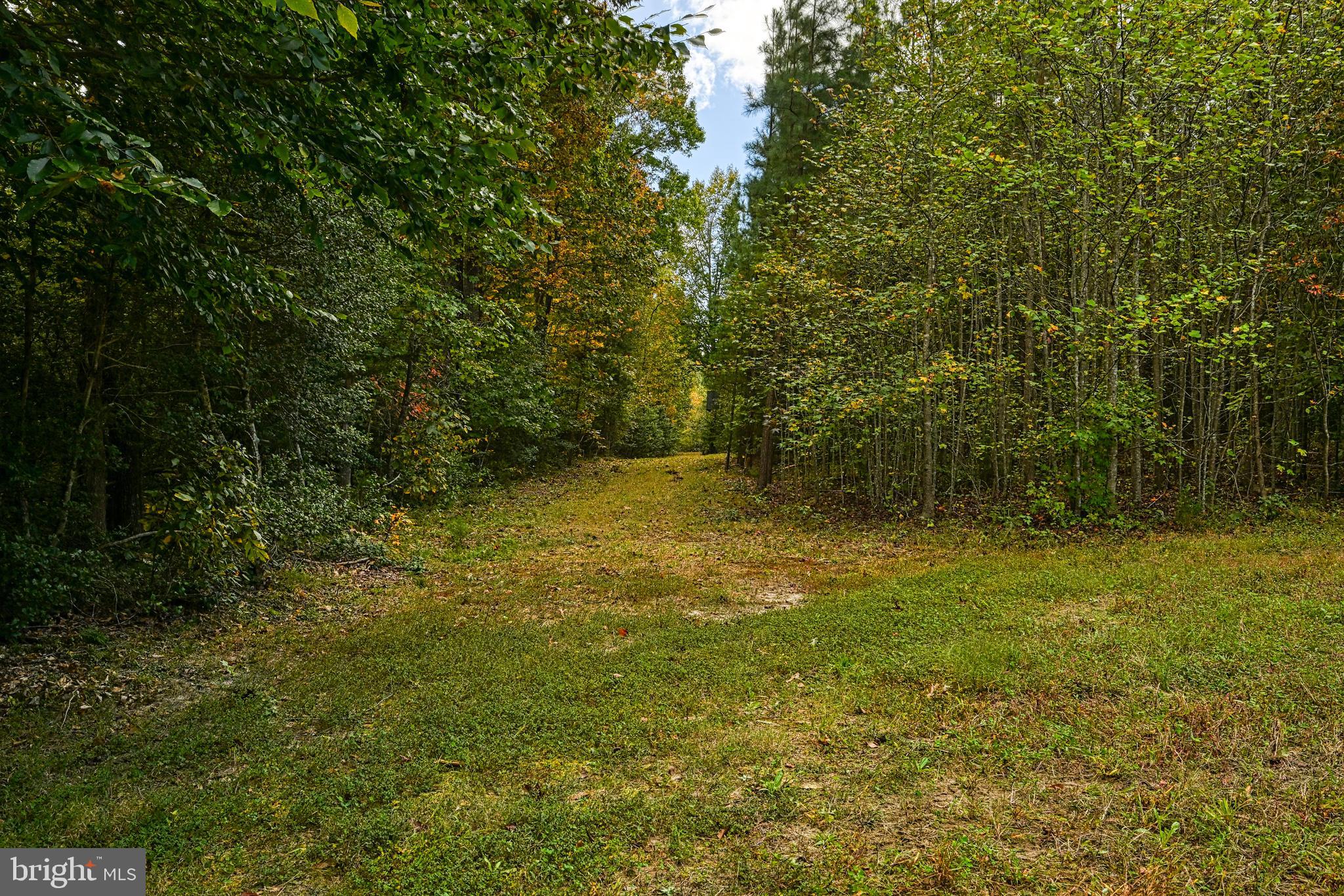 Cross Country Road Mineral, VA 23117 - Photo 9 of 58 a view of outdoor space and yard