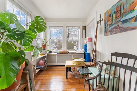 a room with furniture and a potted plant
