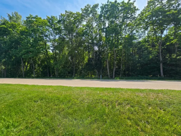 $150,000 | V/l East Washington Street, Greenville, MI 48838