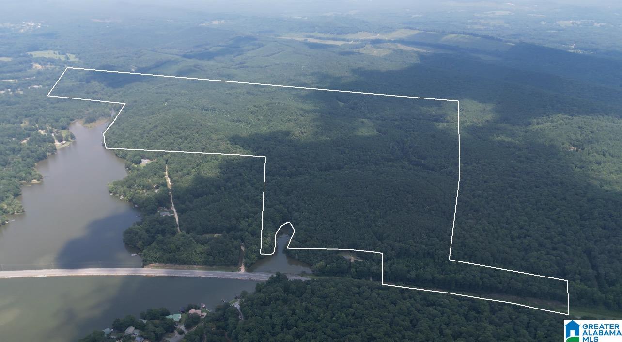 0 Highway 77, Unit 1 Ohatchee, AL 36271 - Photo 1 of 1
