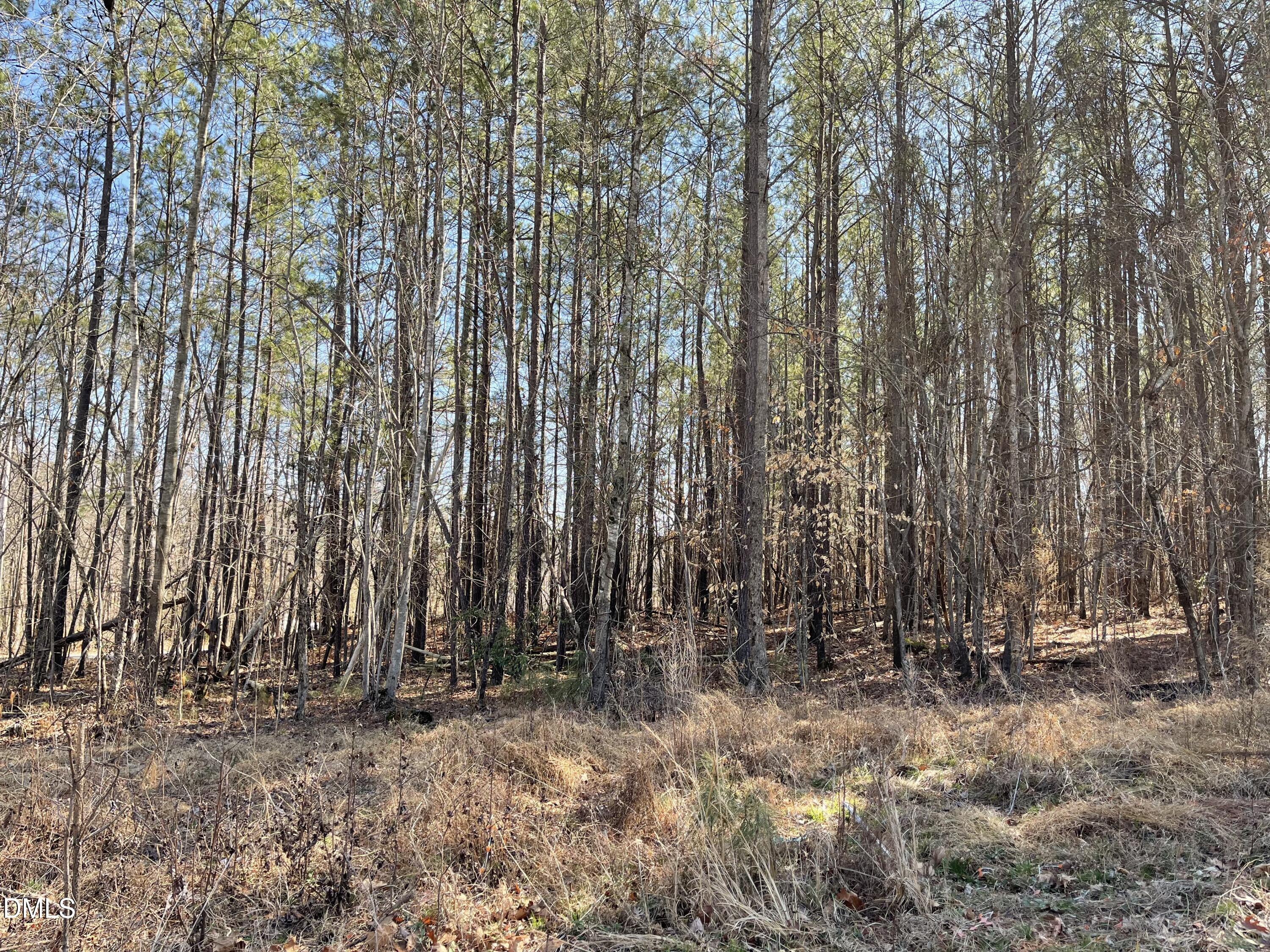 800 Olive Branch Road Durham, NC 27703 - Photo 2 of 7 IMG_7785