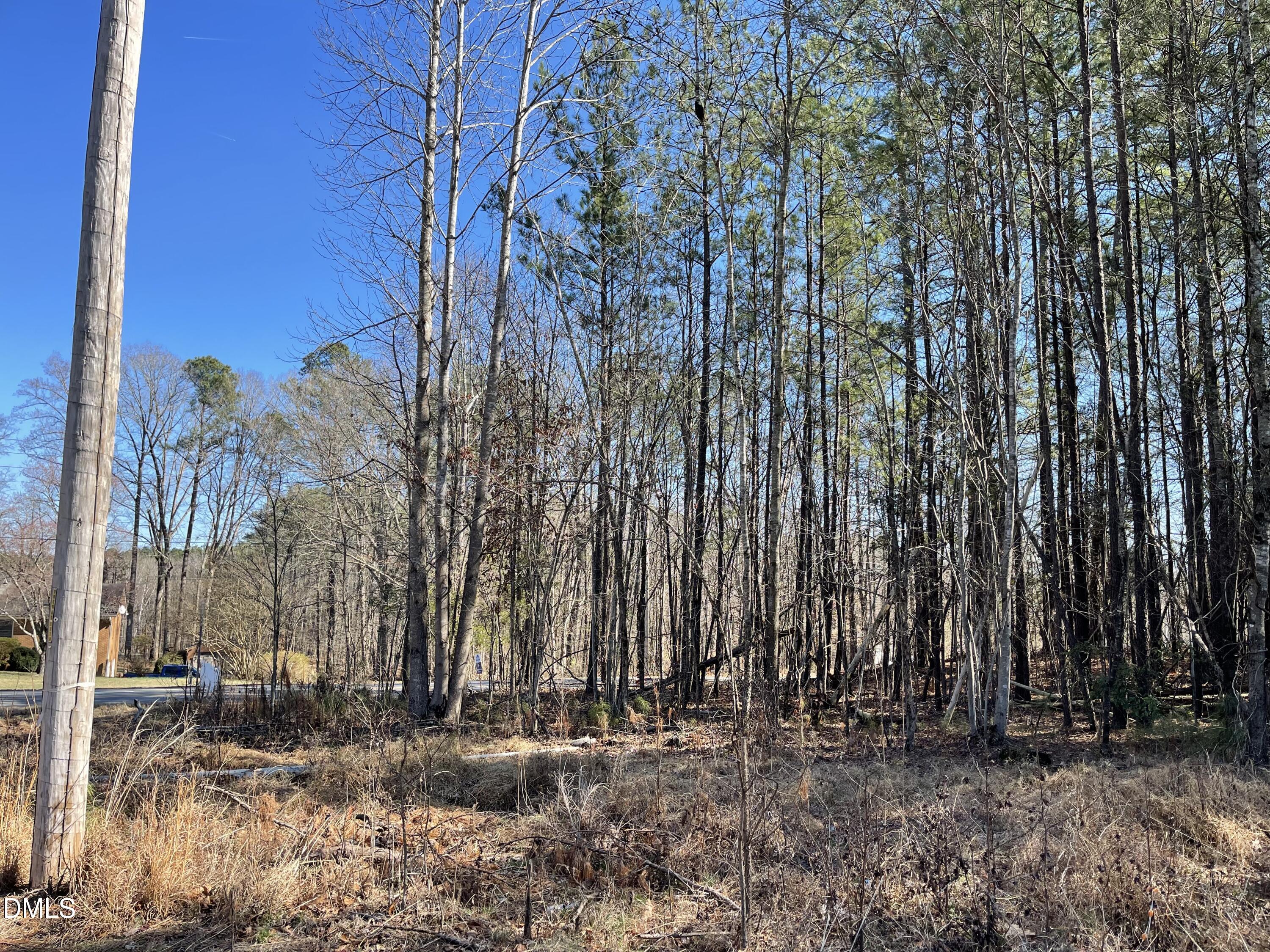 800 Olive Branch Road Durham, NC 27703 - Photo 3 of 7 IMG_7786