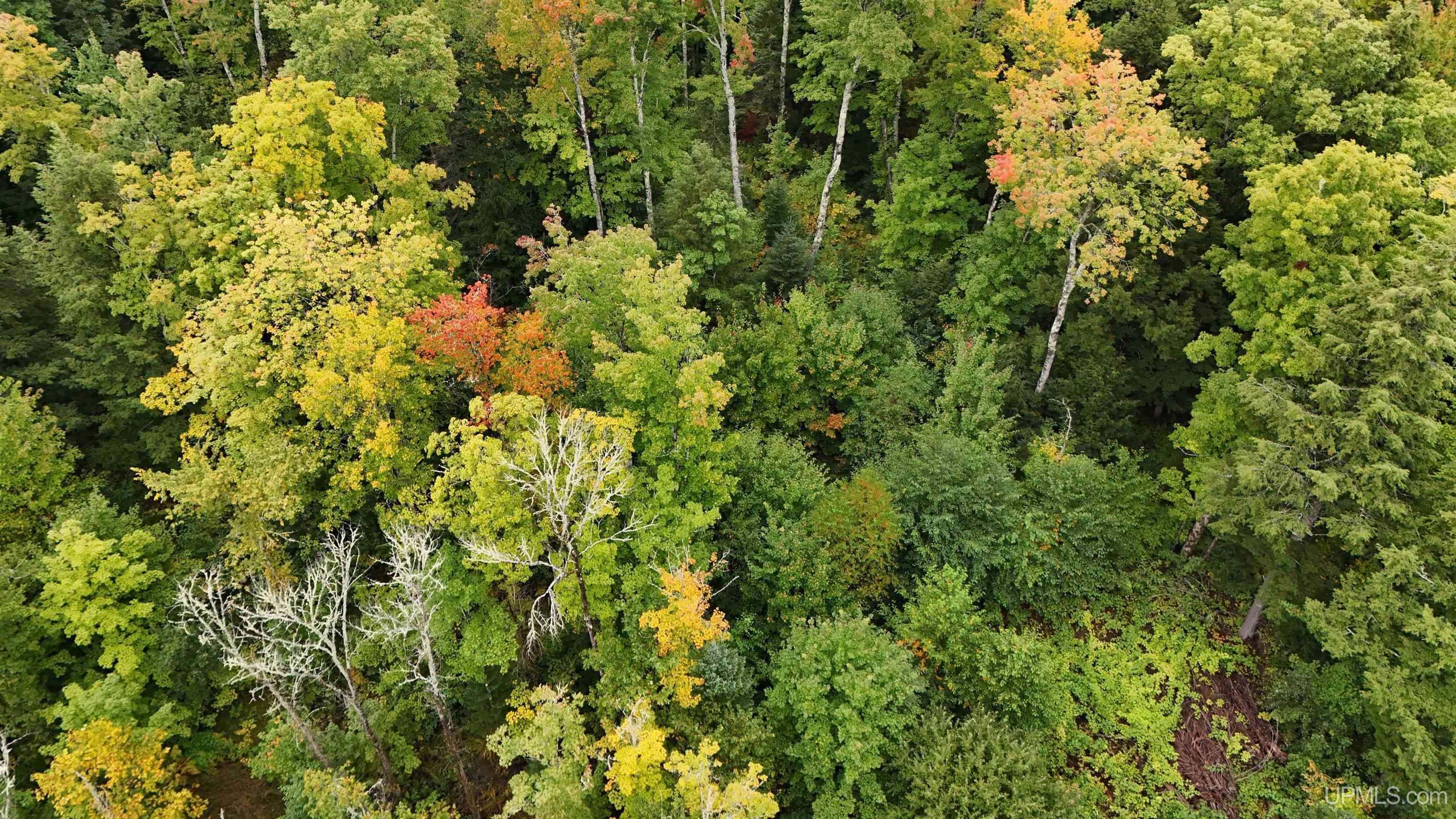 Tbd240 South Firesteel Road Ontonagon, MI 49953 - Photo 2 of 16