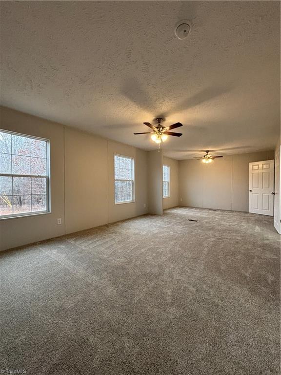 522 Stephens Road Ruffin, NC 27326 - Photo 14 of 20