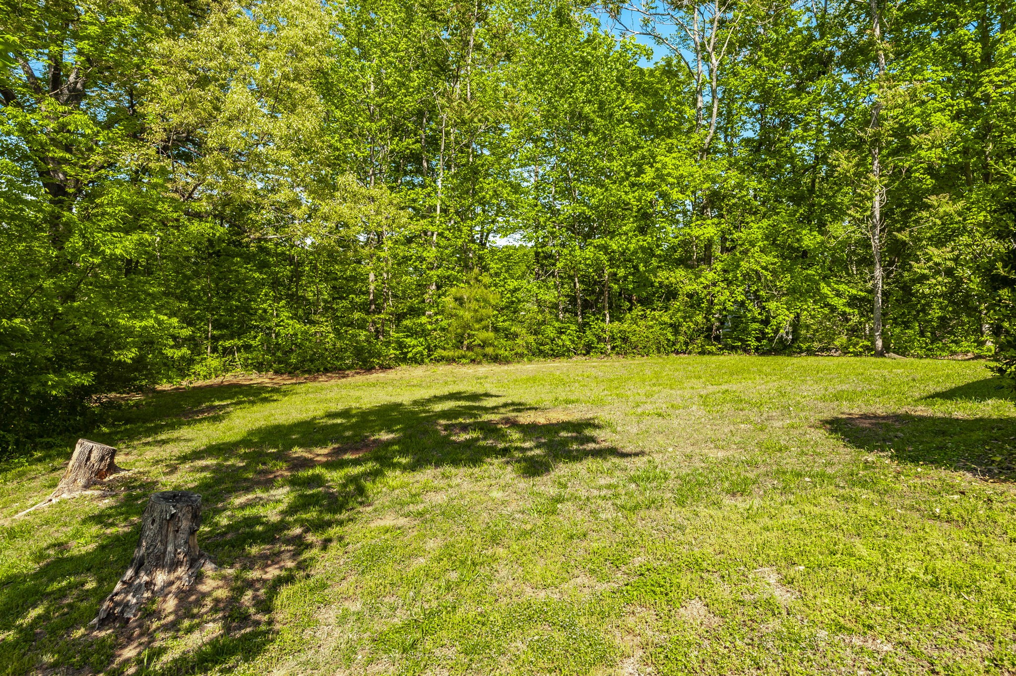 100 Tanglewood Lane Springfield, TN 37172 - Photo 5 of 64