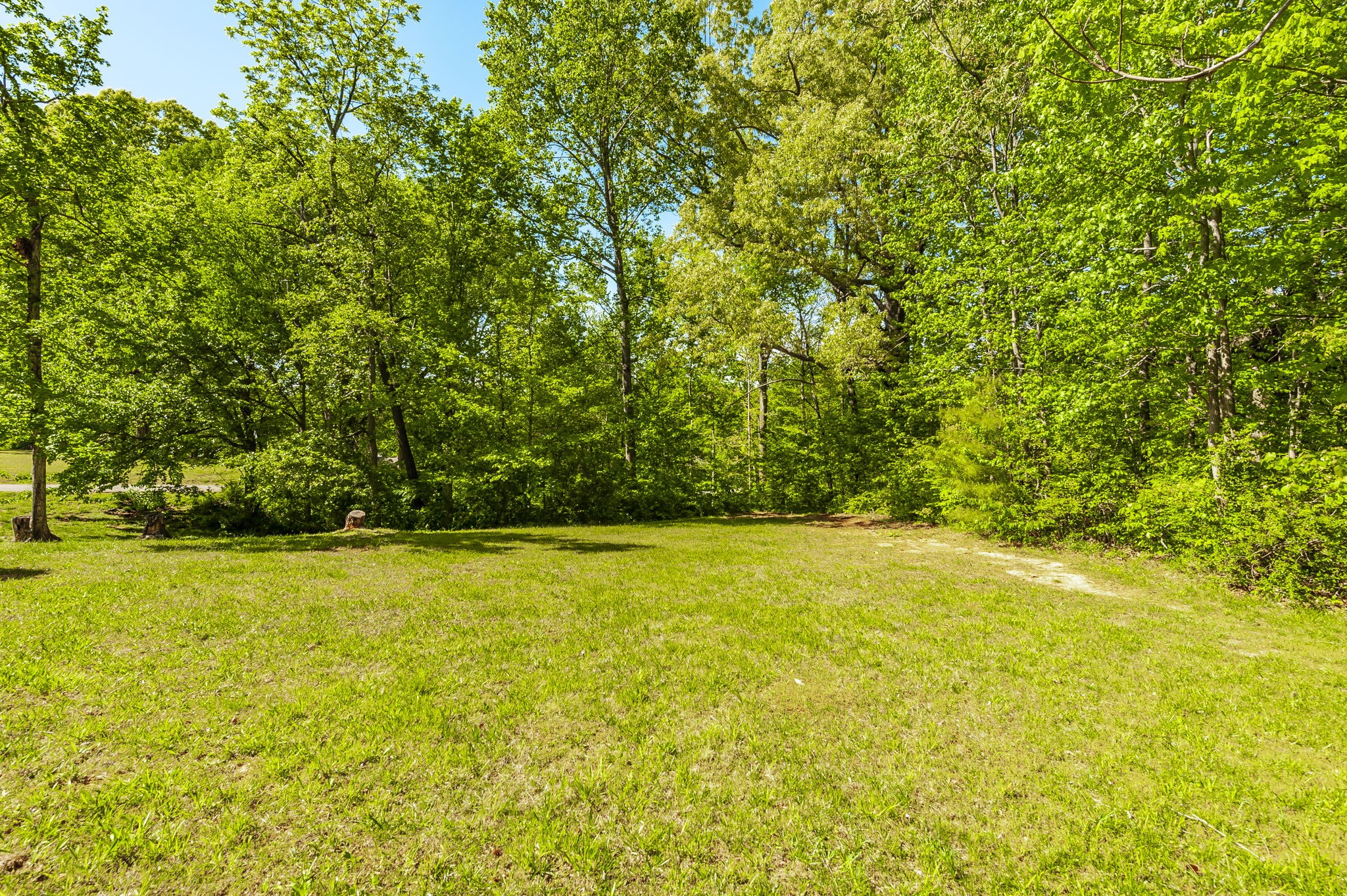 100 Tanglewood Lane Springfield, TN 37172 - Photo 56 of 64