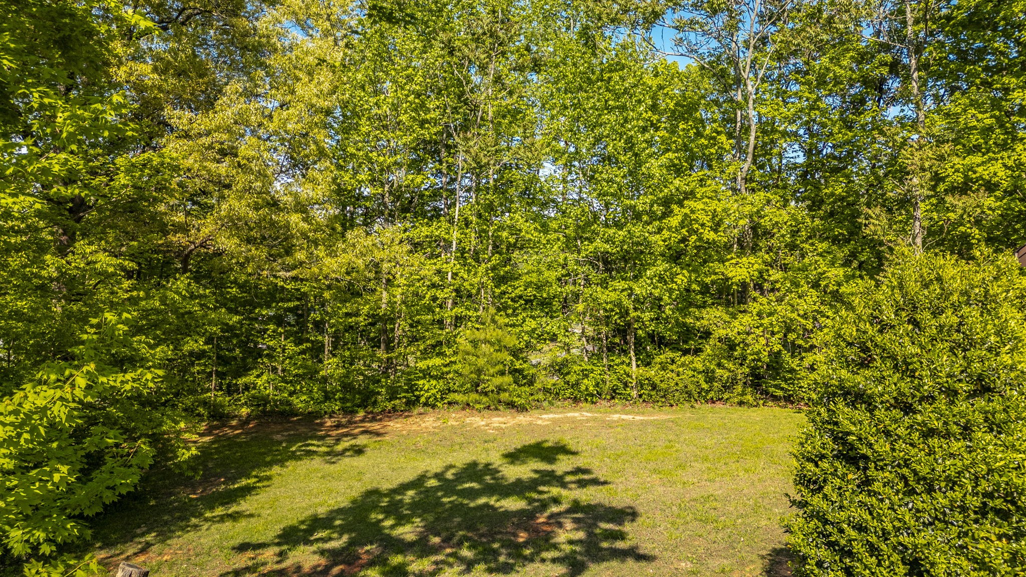 100 Tanglewood Lane Springfield, TN 37172 - Photo 61 of 64