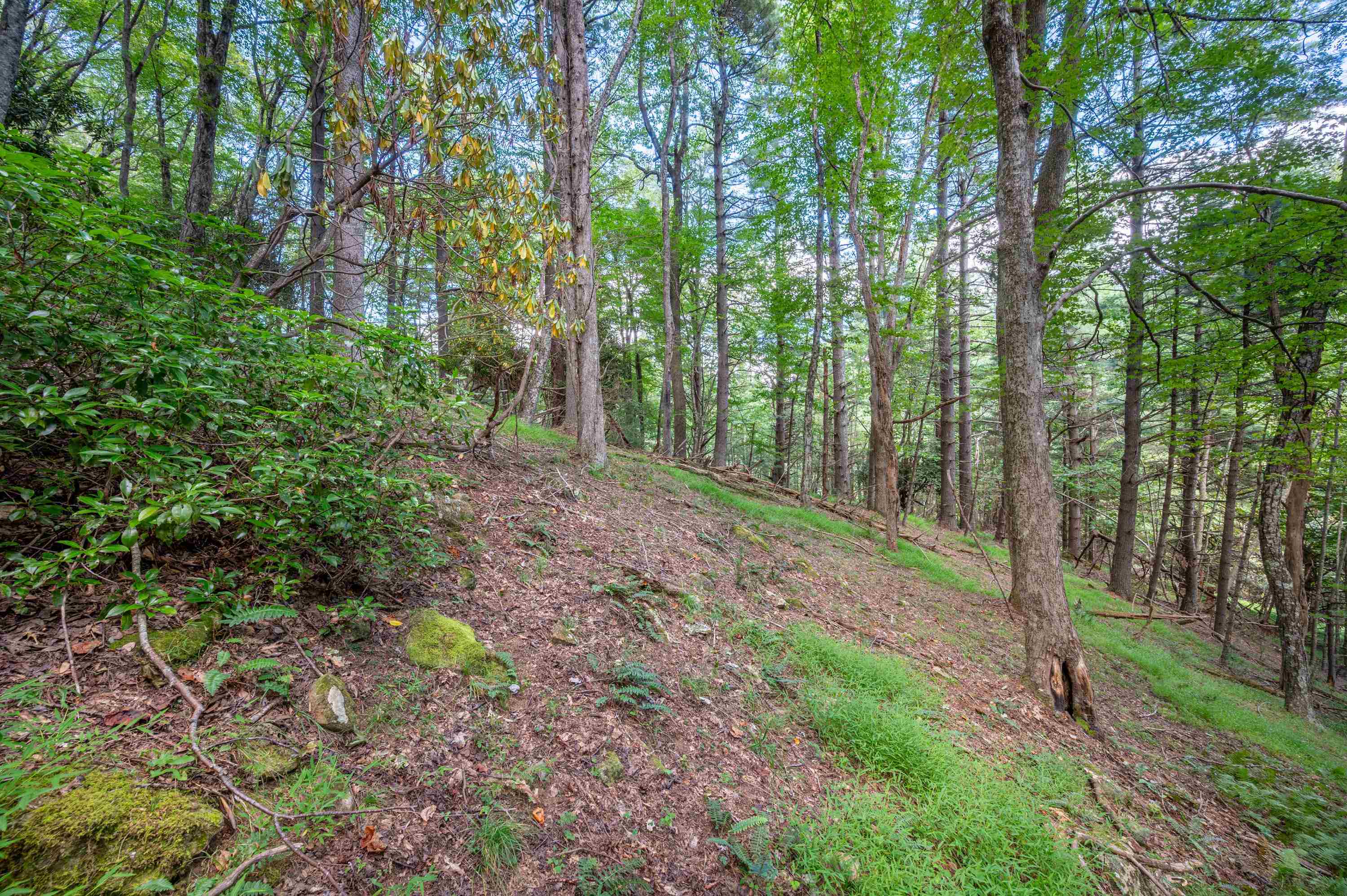 1286 Cox Store Road Southwest Floyd, VA 24091 - Photo 16 of 32 Gallery Image 16