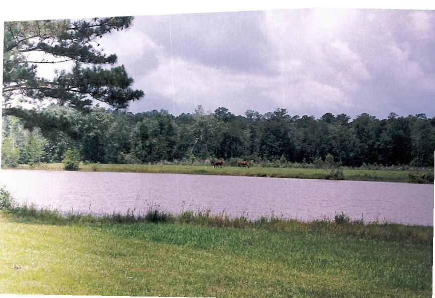 448 Bond Road DeFuniak Springs, FL 32435 - Photo 1 of 1 Gallery Image 1