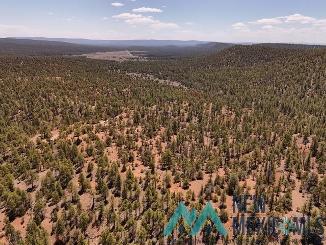 Tbd Tbd Little Arrow Road Grants, NM 87020 - Photo 45 of 69