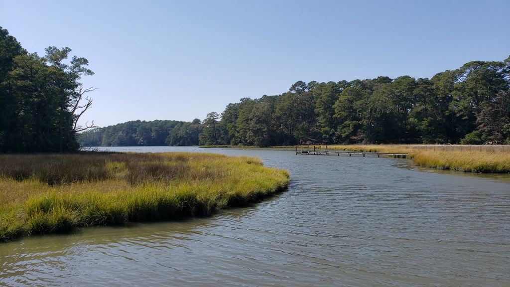 Lot 8 Wellington Neck Road, Unit 8 Franktown, VA 23354 - Photo 9 of 9