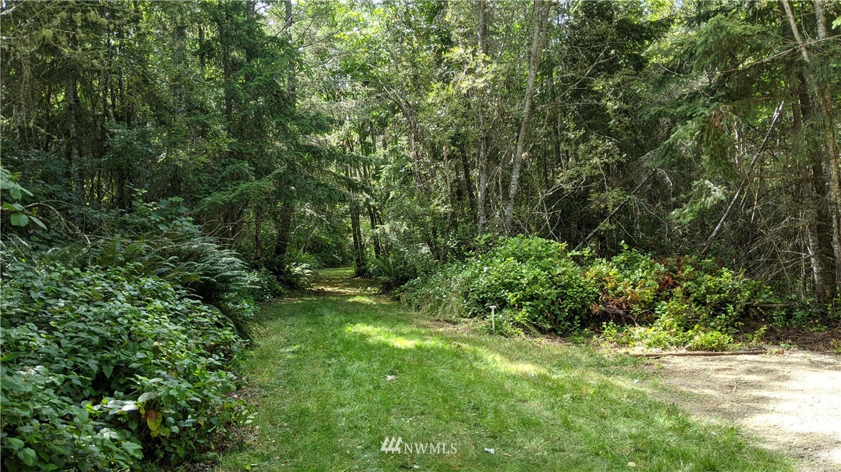 0 Dan Kelly Road Port Angeles, WA 98363 - Photo 12 of 15 Gallery Image 12