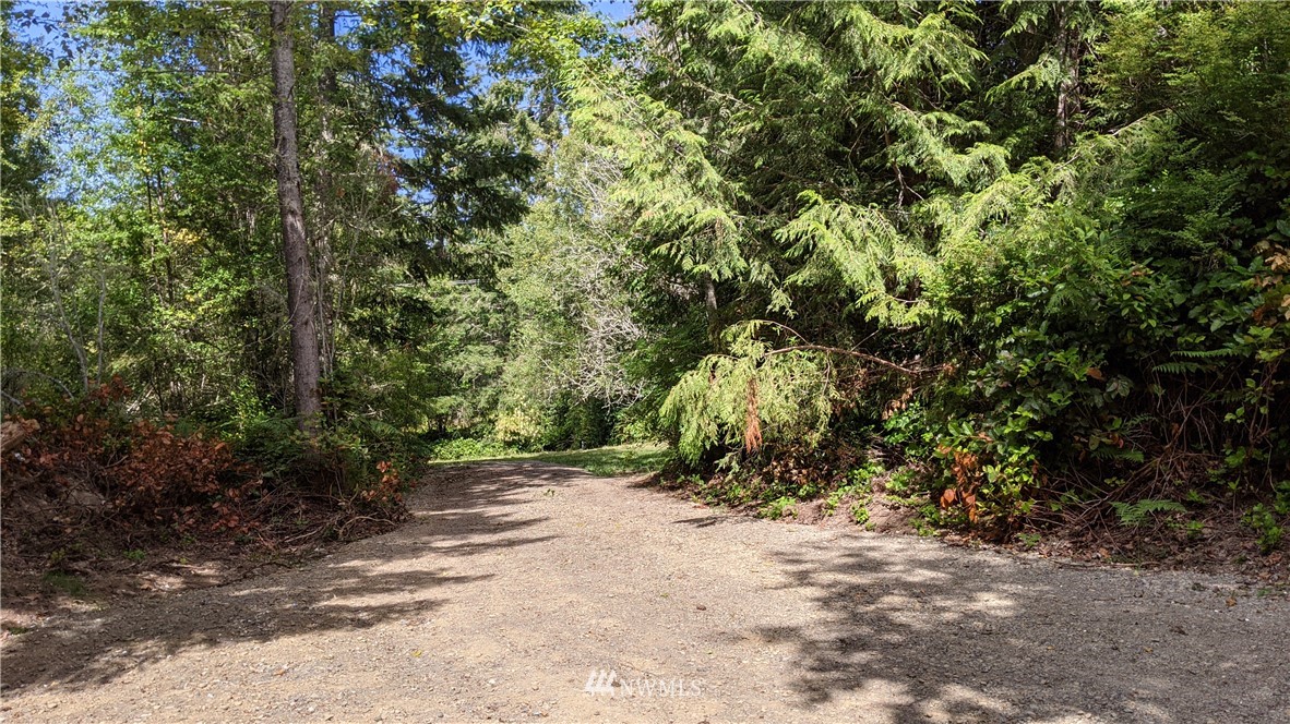 0 Dan Kelly Road Port Angeles, WA 98363 - Photo 13 of 15 Gallery Image 13