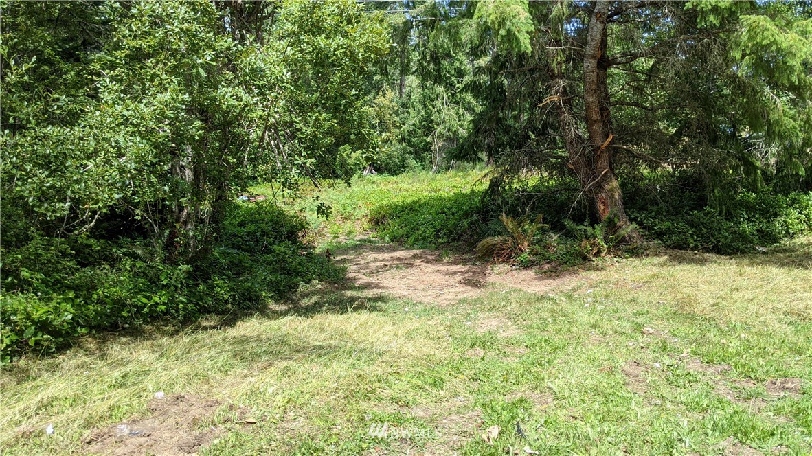 0 Dan Kelly Road Port Angeles, WA 98363 - Photo 8 of 15 Gallery Image 8