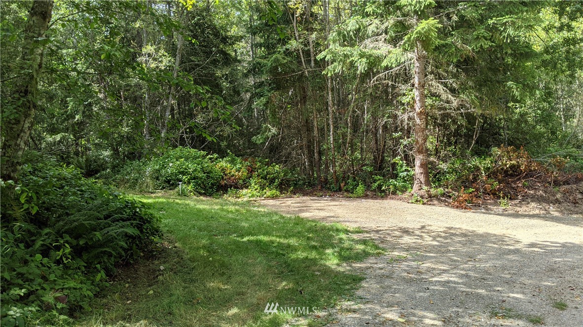 0 Dan Kelly Road Port Angeles, WA 98363 - Photo 10 of 15 Gallery Image 10