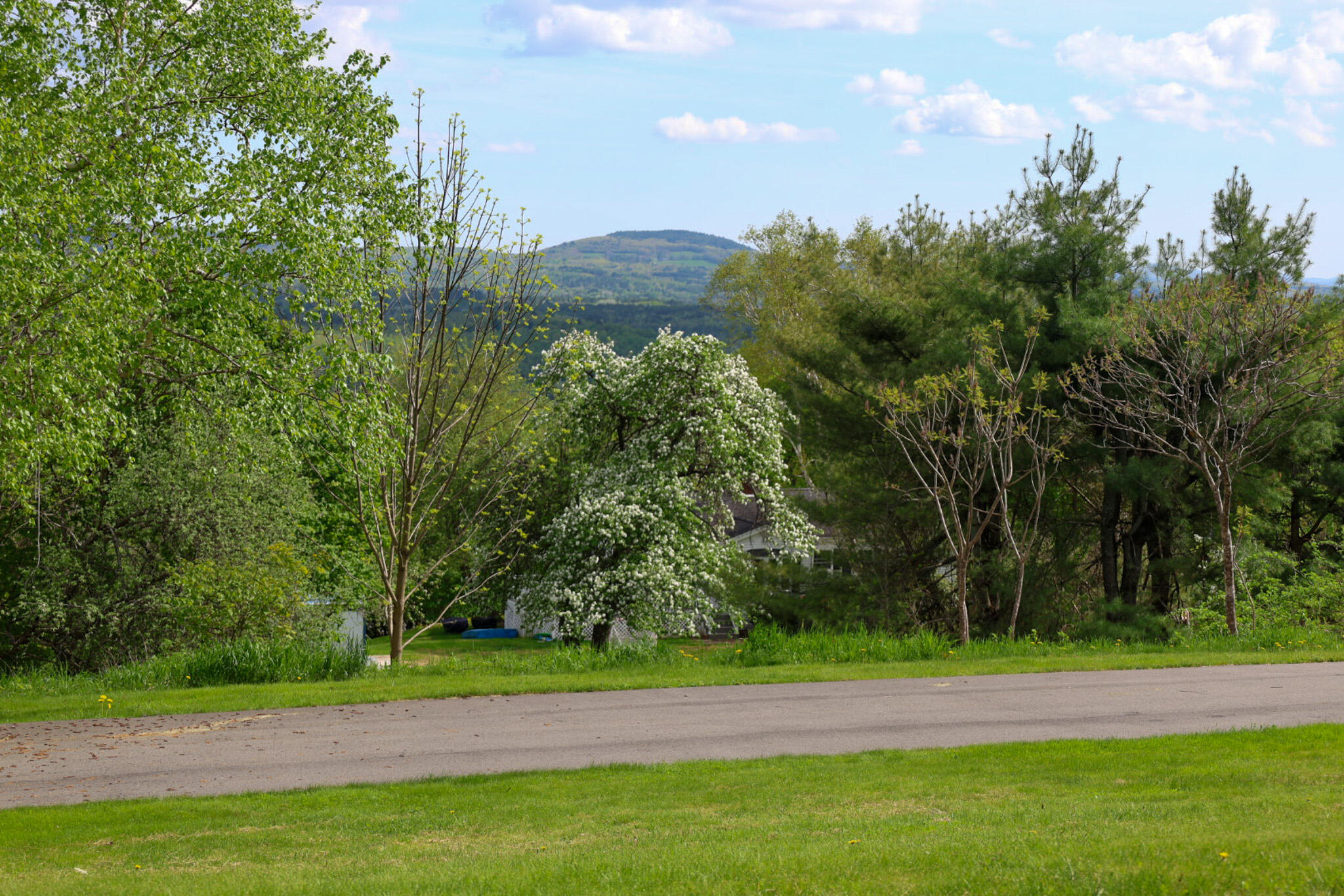 239 Temple Road Wilton, ME 04294 - Photo 16 of 120 20250516143850_J83A0444