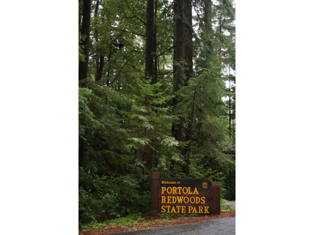 0 Back Road La Honda, CA 94020 - Photo 2 of 9