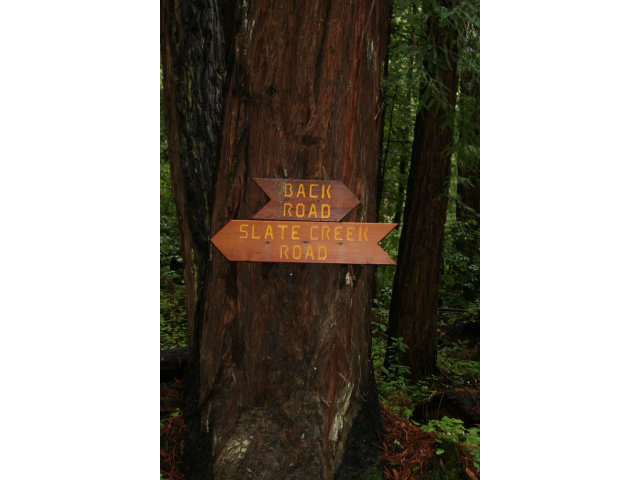 0 Back Road La Honda, CA 94020 - Photo 4 of 9