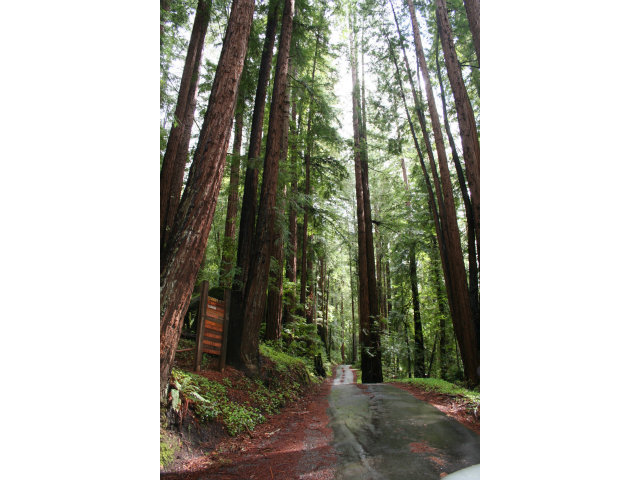 0 Back Road La Honda, CA 94020 - Photo 5 of 9