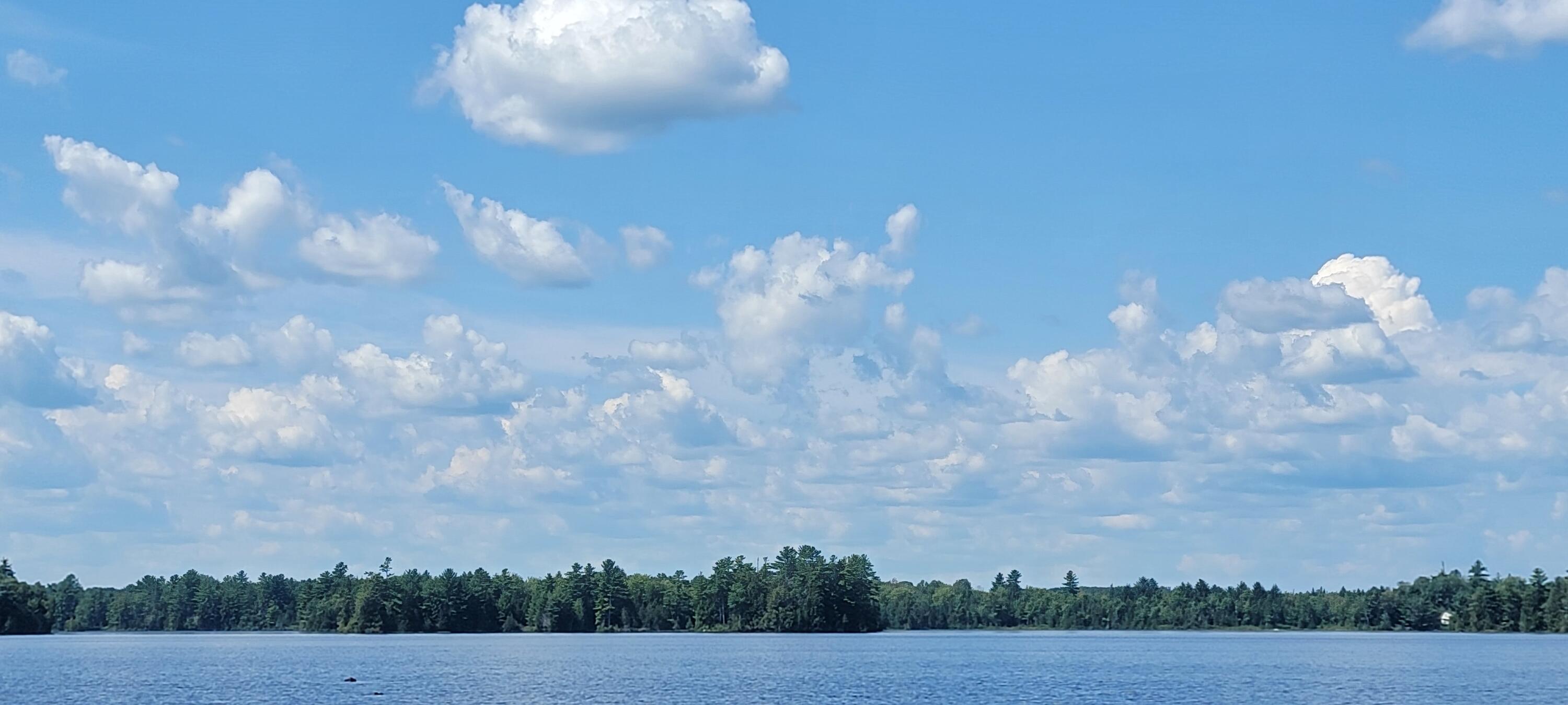 170 Wheaton Road Dover-Foxcroft, ME 04426 - Photo 5 of 25 20230824_132243