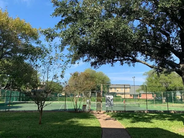 a view of a park with large trees
