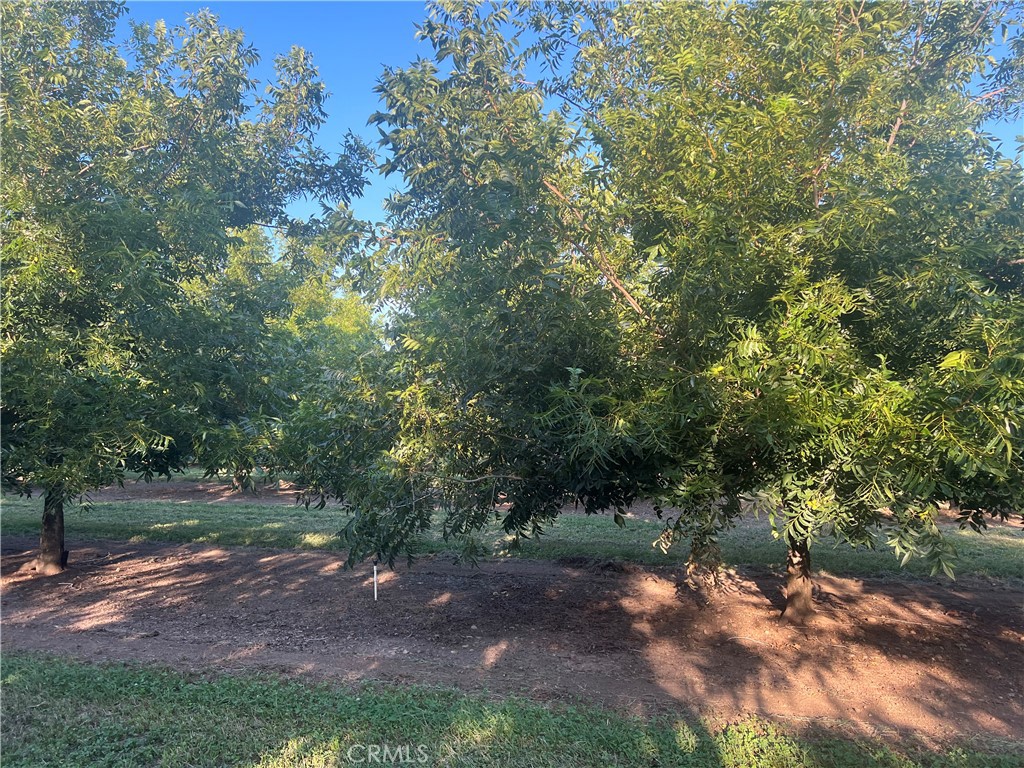 14450 Meridian Road Chico, CA 95973 - Photo 15 of 37