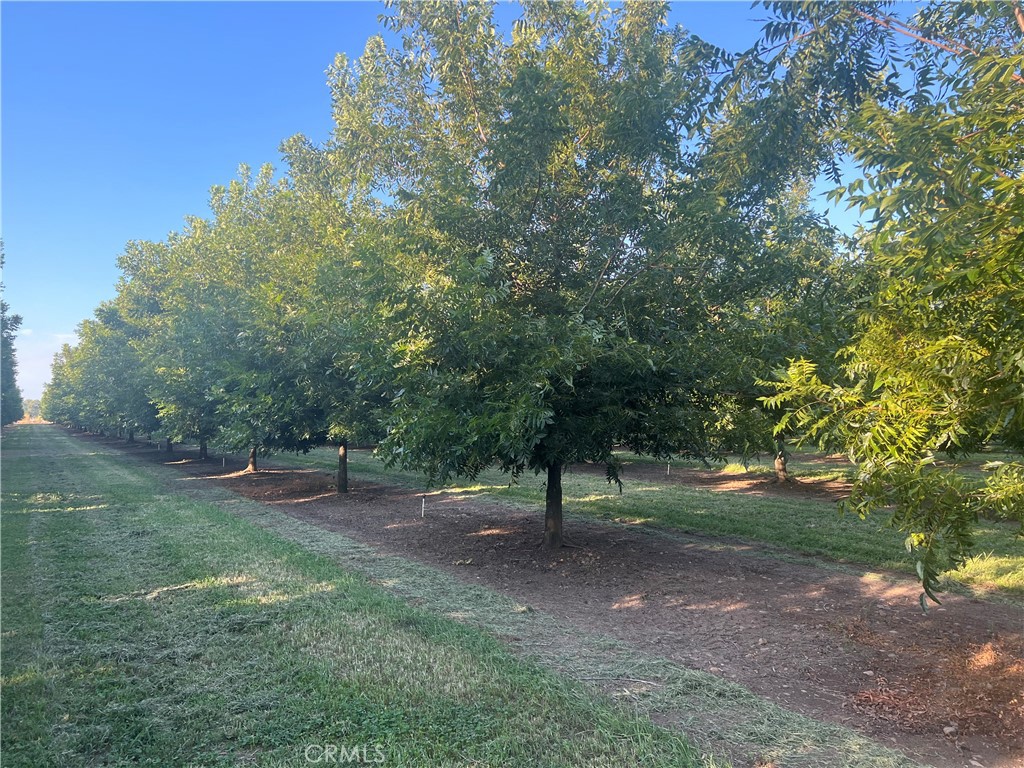 14450 Meridian Road Chico, CA 95973 - Photo 16 of 37