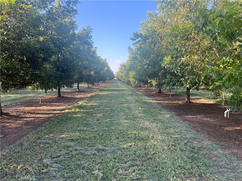 14450 Meridian Road Chico, CA 95973 - Photo 18 of 37