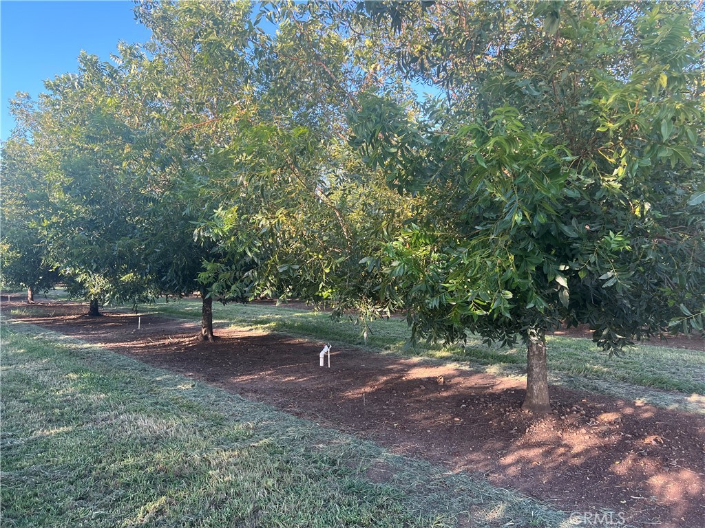 14450 Meridian Road Chico, CA 95973 - Photo 19 of 37